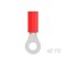 Te Connectivity Ring Terminal, #6 Stud Size, 22 AWG, 600 V, PVC Insulated, Red 32947 - alternate 5